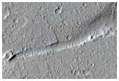 Faulting in Amazonis Planitia