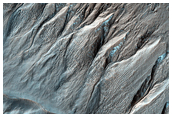 Gullies on the Exterior Wall of a Crater