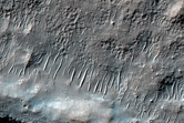 Dissected Mantle Terrain and Concentric Crater Fill