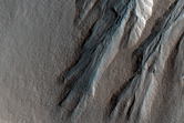 Gullies Incising a Crater Wall