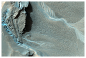 Gullies on the Northwest Rim of Hale Crater