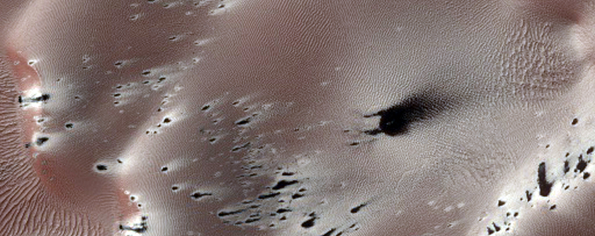 Seasonal changes in dark dune spots