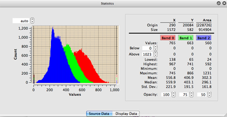 Display statistics about an image