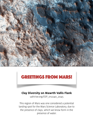 Clay Diversity on Mawrth Vallis Flank