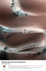 Dunas de arena en primavera