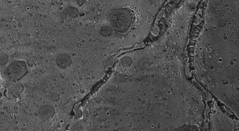 Branched Trough and Pit Features Associated with a  Curvilinear Ridge