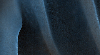 USGS Dune Database Entry Number 3556-607