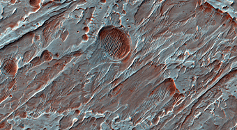 Fans of Roddy Crater