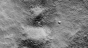 Spider Webs of the Red Planet