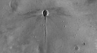 A Dragonfly-Shaped Crater