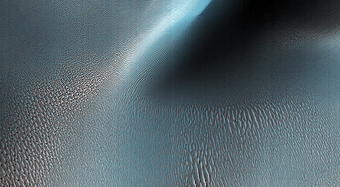 Ripples and Dunes in Proctor Crater
