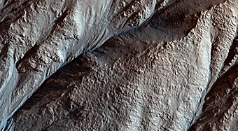 Crater Gullies and Fractures in Acidalia Planitia