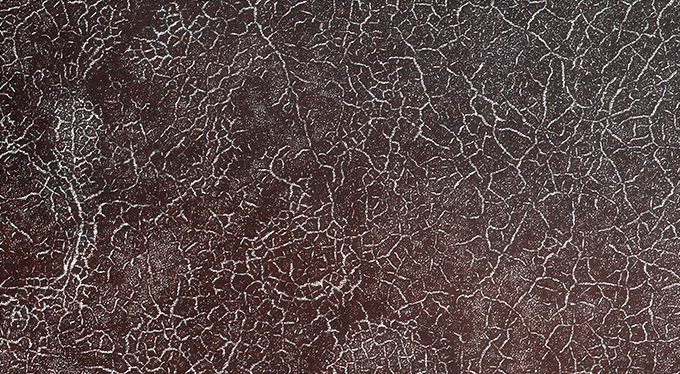 Polygonal Patterns Highlighted by Frost