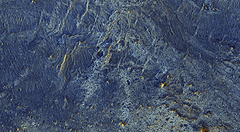 A Human Bird&rsquo;s Eye View of Mars