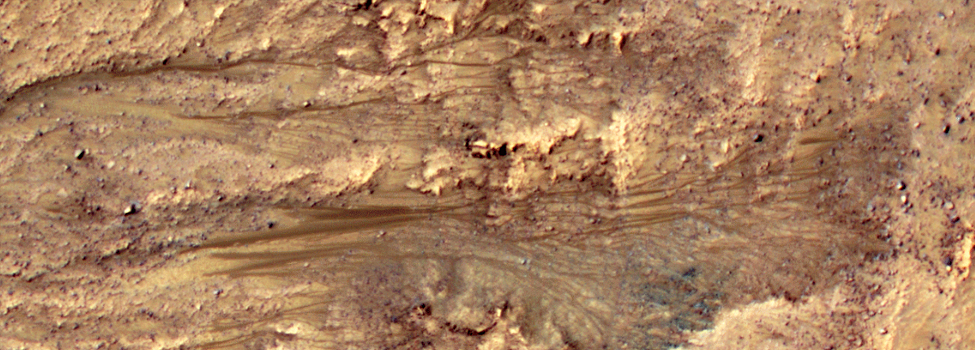 Seasonal Flows on Warm Martian Slopes
